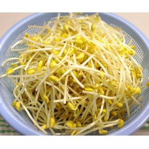 画像: 大豆もやし（1kg）