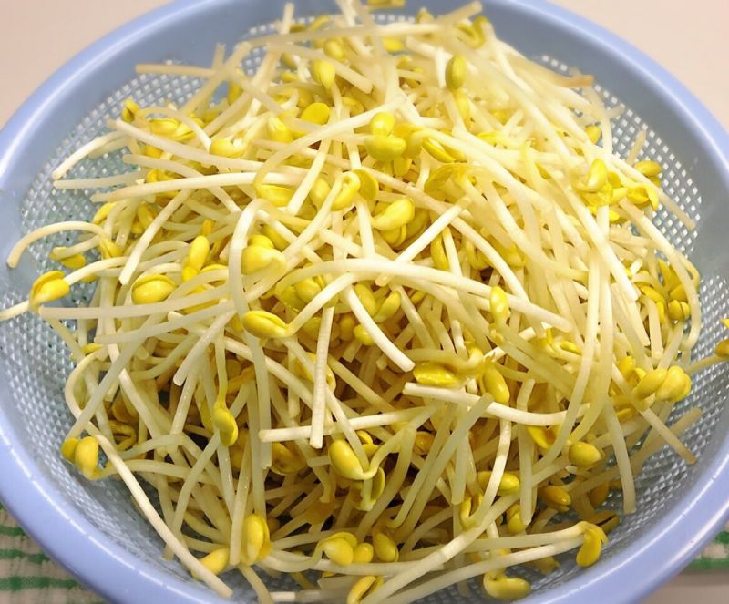 画像1: 大豆もやし（1kg）